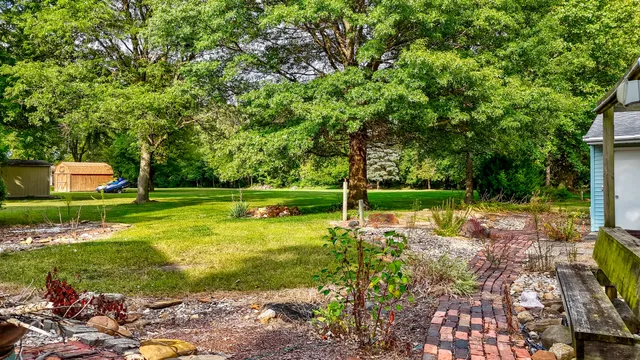 a view of a park with large trees