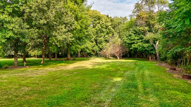 a view of a field with a tree