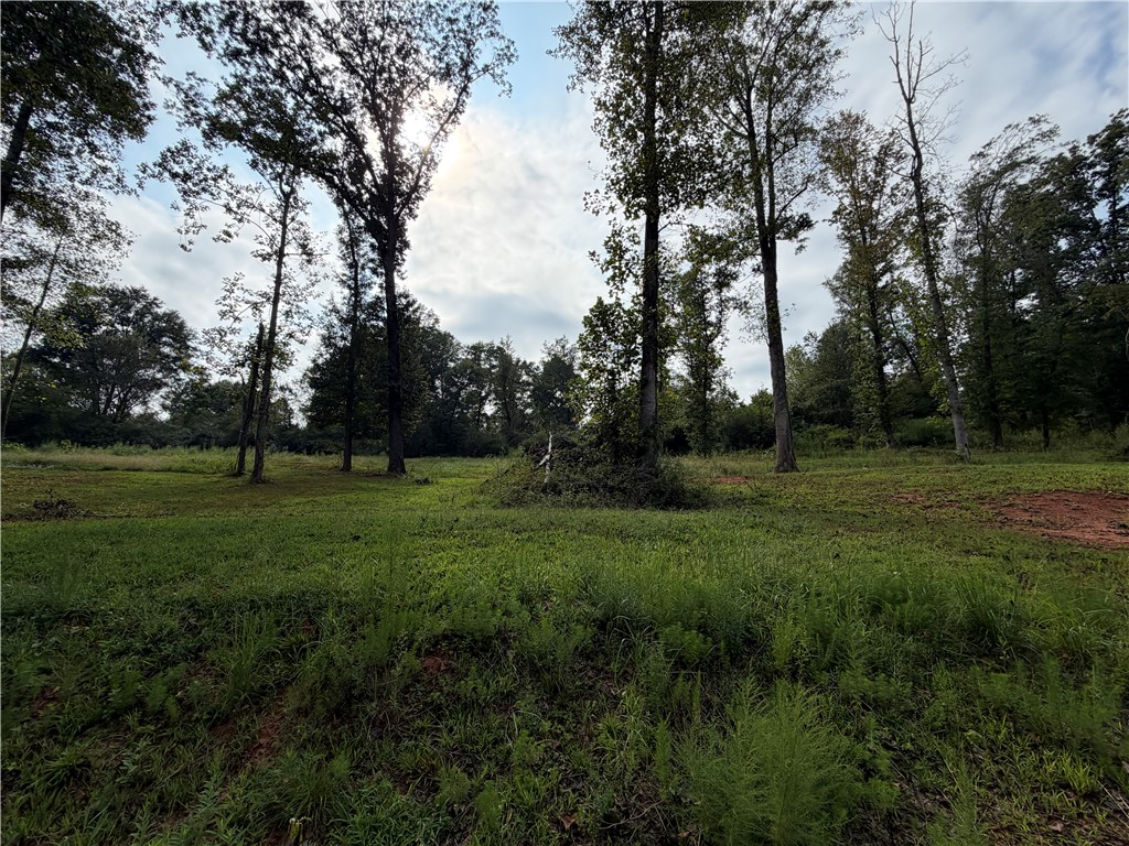560 Return Church Road Seneca, SC 29678 - Photo 6 of 42 Gallery Image 6