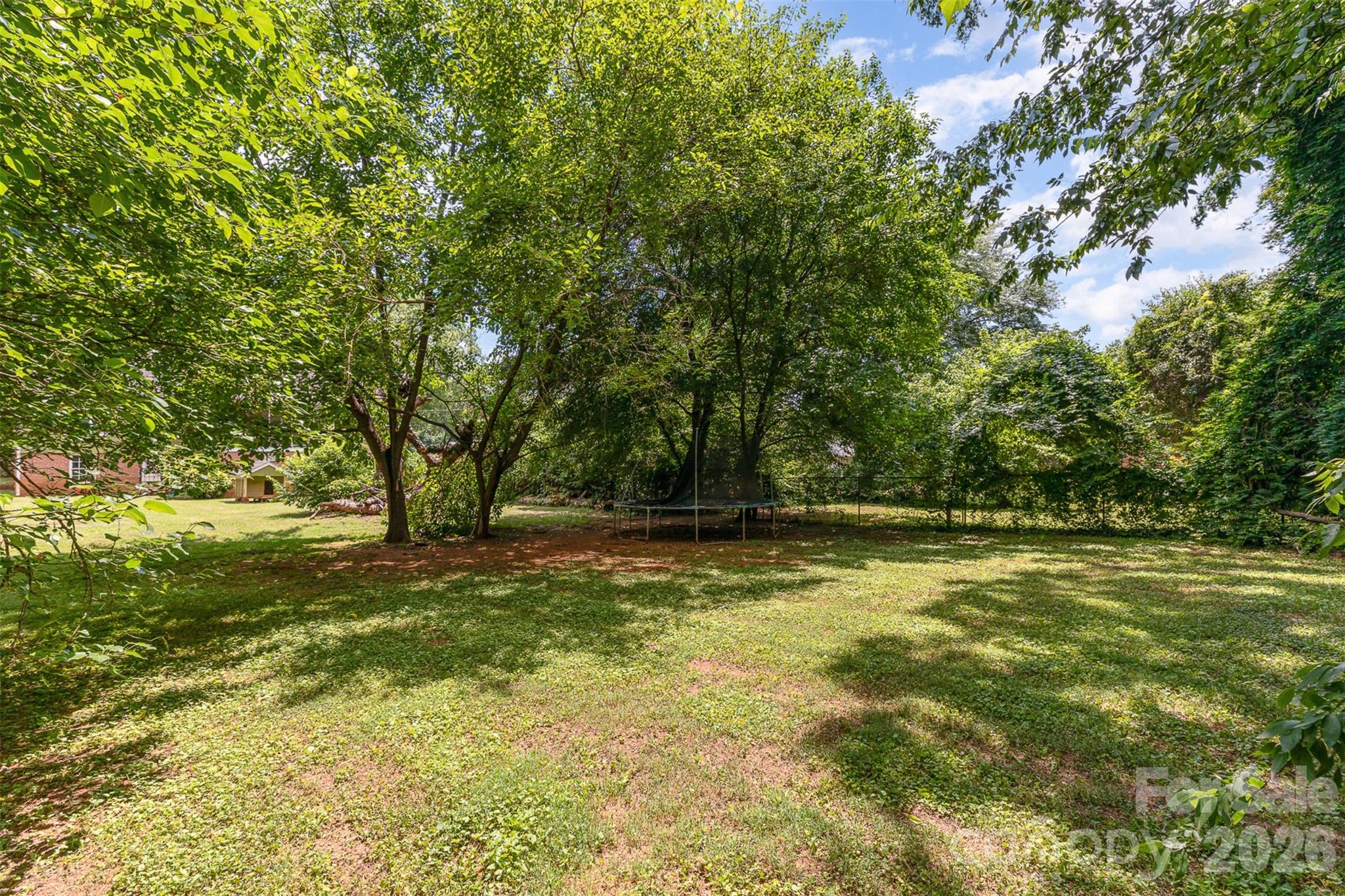 1318 Enderly Road, Unit 1B Charlotte, NC 28208 - Photo 5 of 5 a view of a trees with a big yard