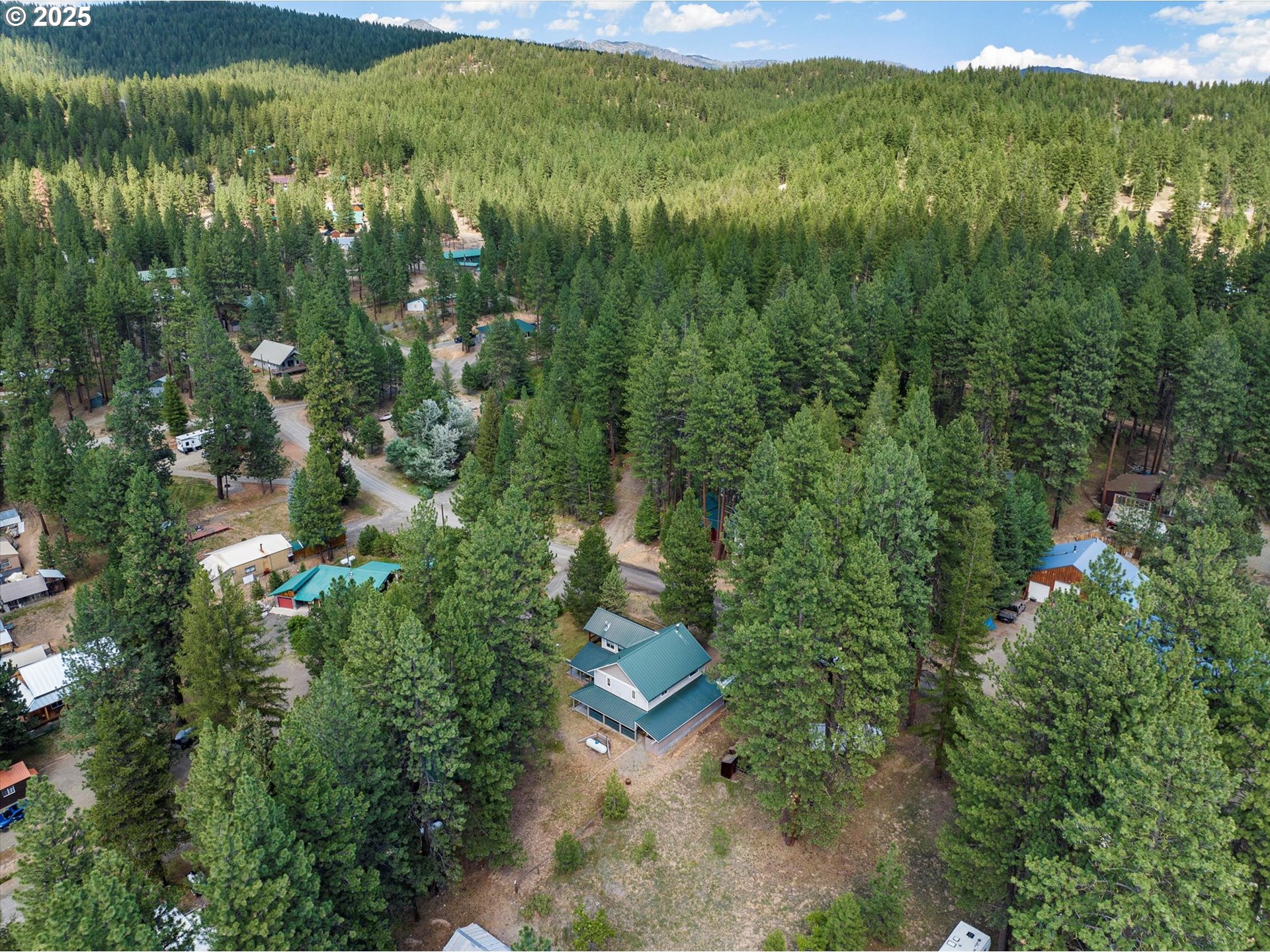 395 Bonanza Street Sumpter, OR 97877 - Photo 14 of 39 a view of a green yard with large trees