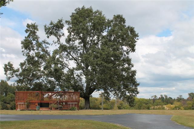 466 Howell Hill Road Kelso, TN 37348 - Photo 14 of 20 WHAT A VIEW from your backyard!