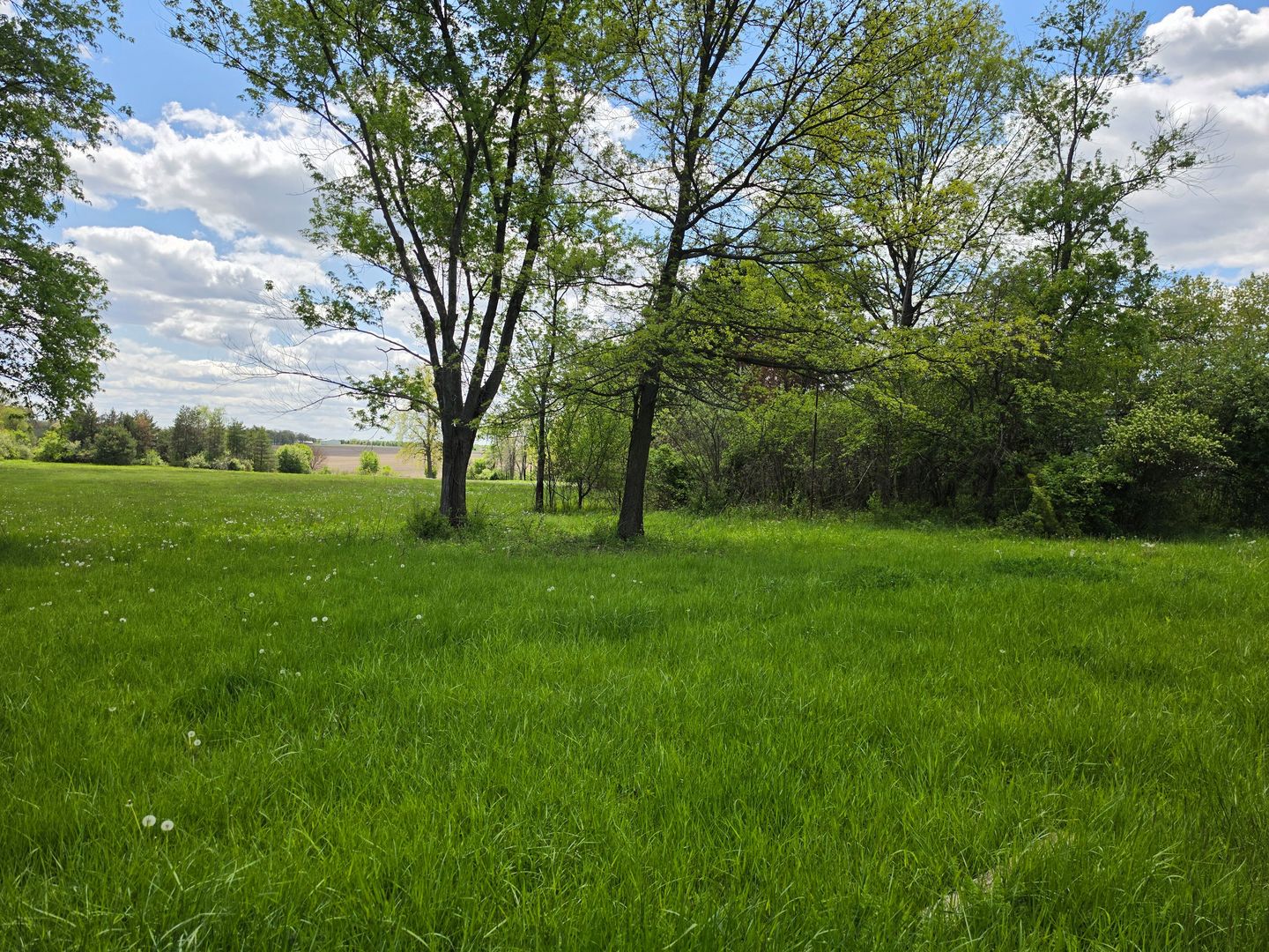 1947 East Steger Road Crete, IL 60417 - Photo 8 of 16 Gallery Image 8