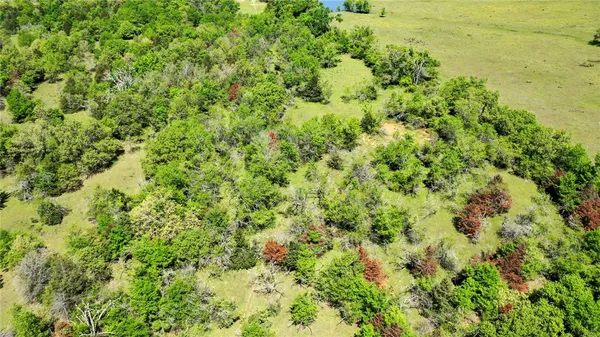 a view of a green field with lots of bushes