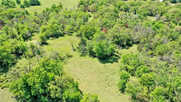 a view of a big yard with lots of bushes