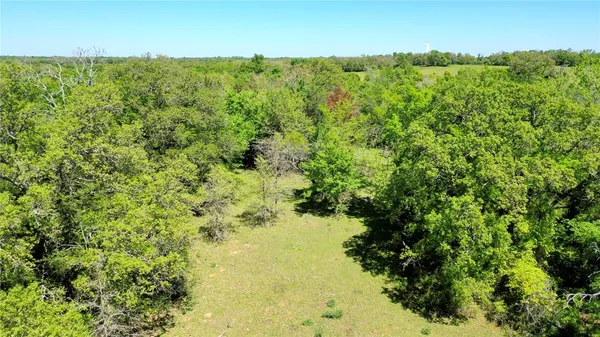 a view of a big yard with large trees