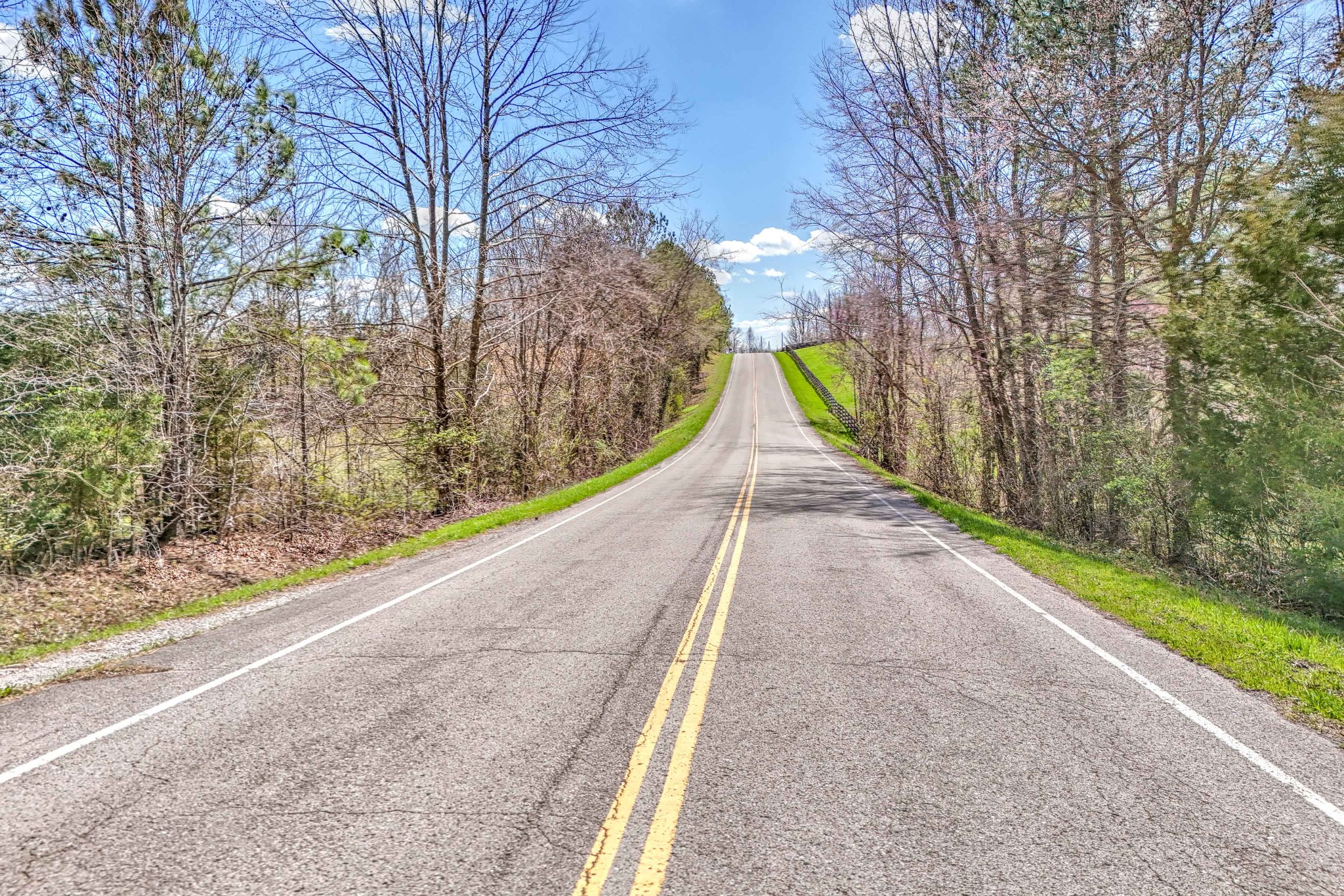 0 Bradford Road Primm Springs, TN 38476 - Photo 11 of 28 Gallery Image 11
