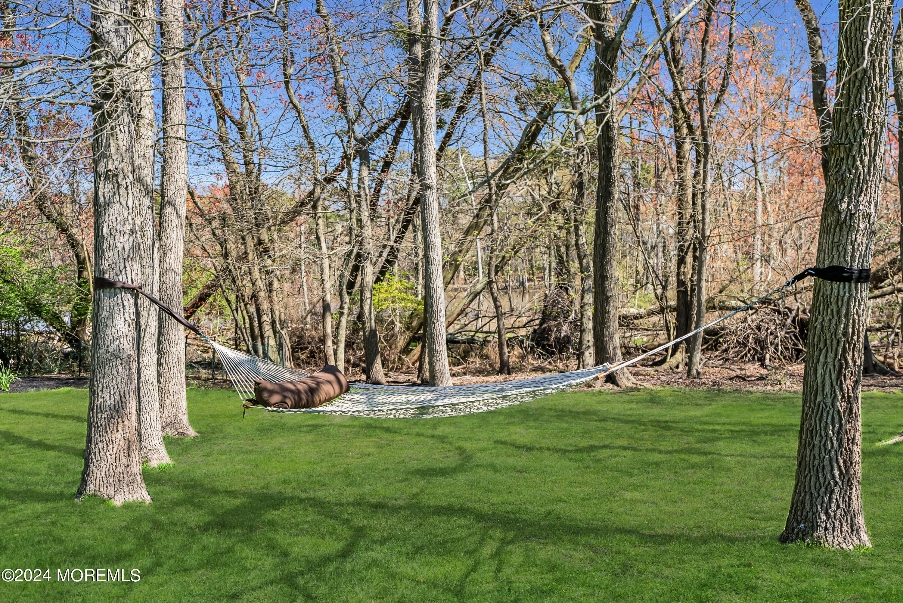 22 Oak Glen Road Toms River, NJ 08753 - Photo 19 of 25 a view of a park with large trees