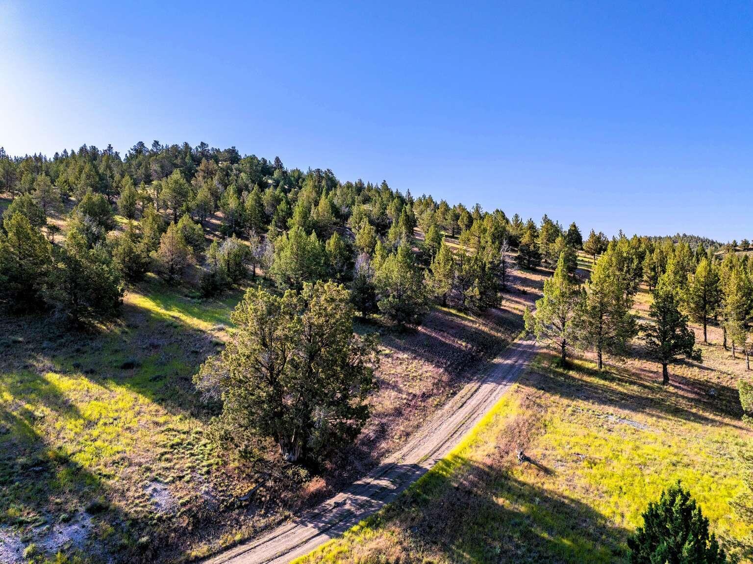 737 Raccoon Lane Alturas, CA 96101 - Photo 2 of 16 Dingman.2