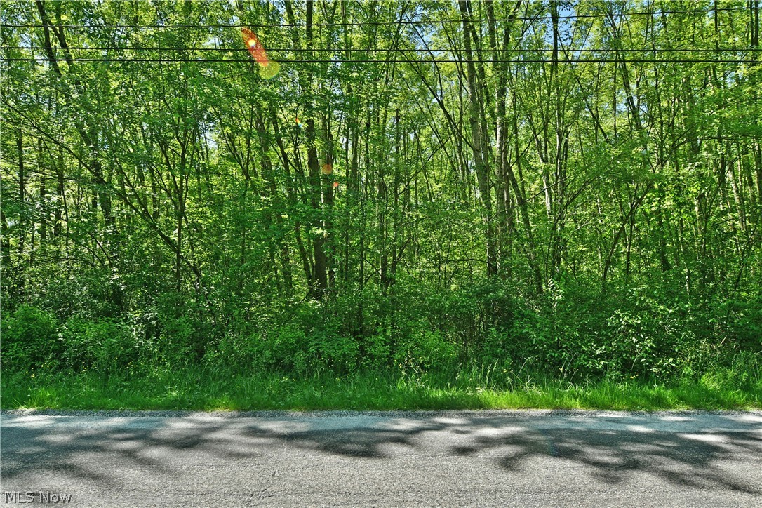 Airport Road Northwest Warren, OH 44481 - Photo 18 of 19