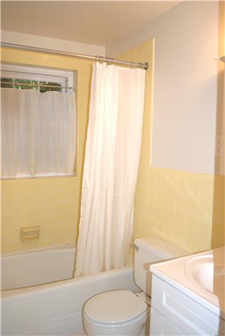 245 Running Knob Hollow Road Sewanee, TN 37375 - Photo 15 of 20 Gallery Image 15