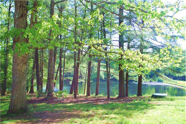 245 Running Knob Hollow Road Sewanee, TN 37375 - Photo 19 of 20 Gallery Image 19
