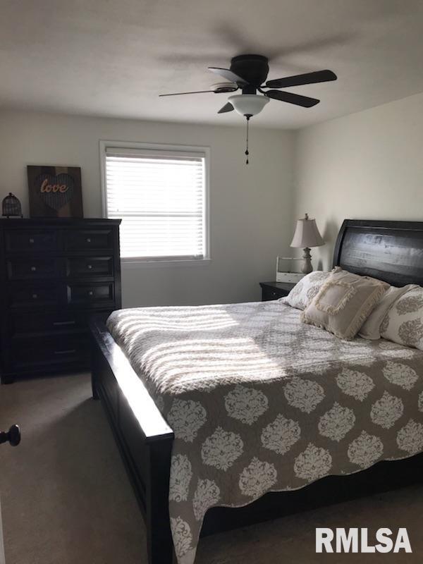 207 Algonquin Road Marquette Heights, IL 61554 - Photo 18 of 27 Gallery Image 18