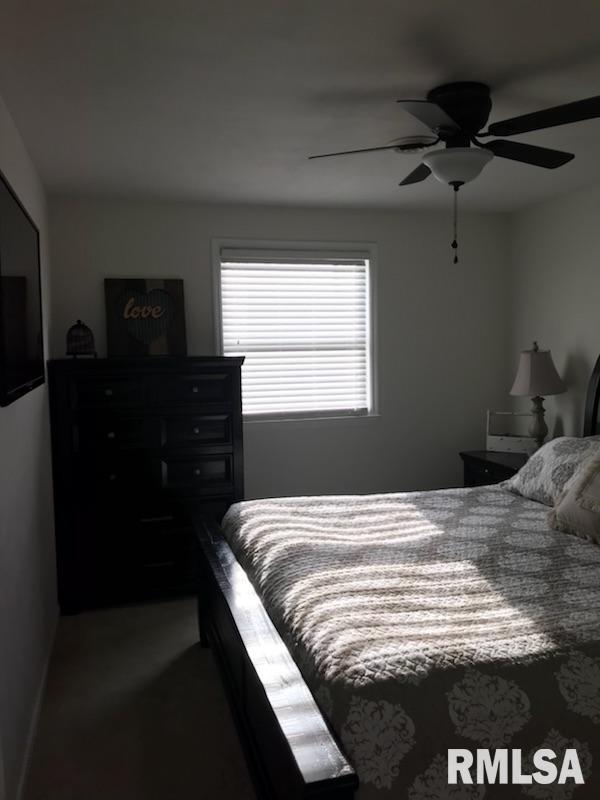 207 Algonquin Road Marquette Heights, IL 61554 - Photo 22 of 27 Gallery Image 22