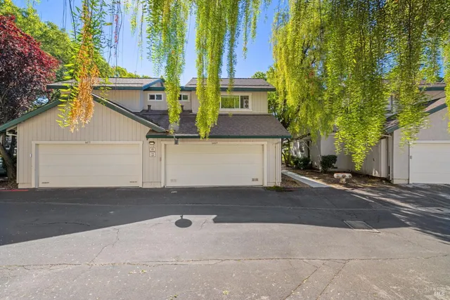 a view of backyard with large trees and wooden fence