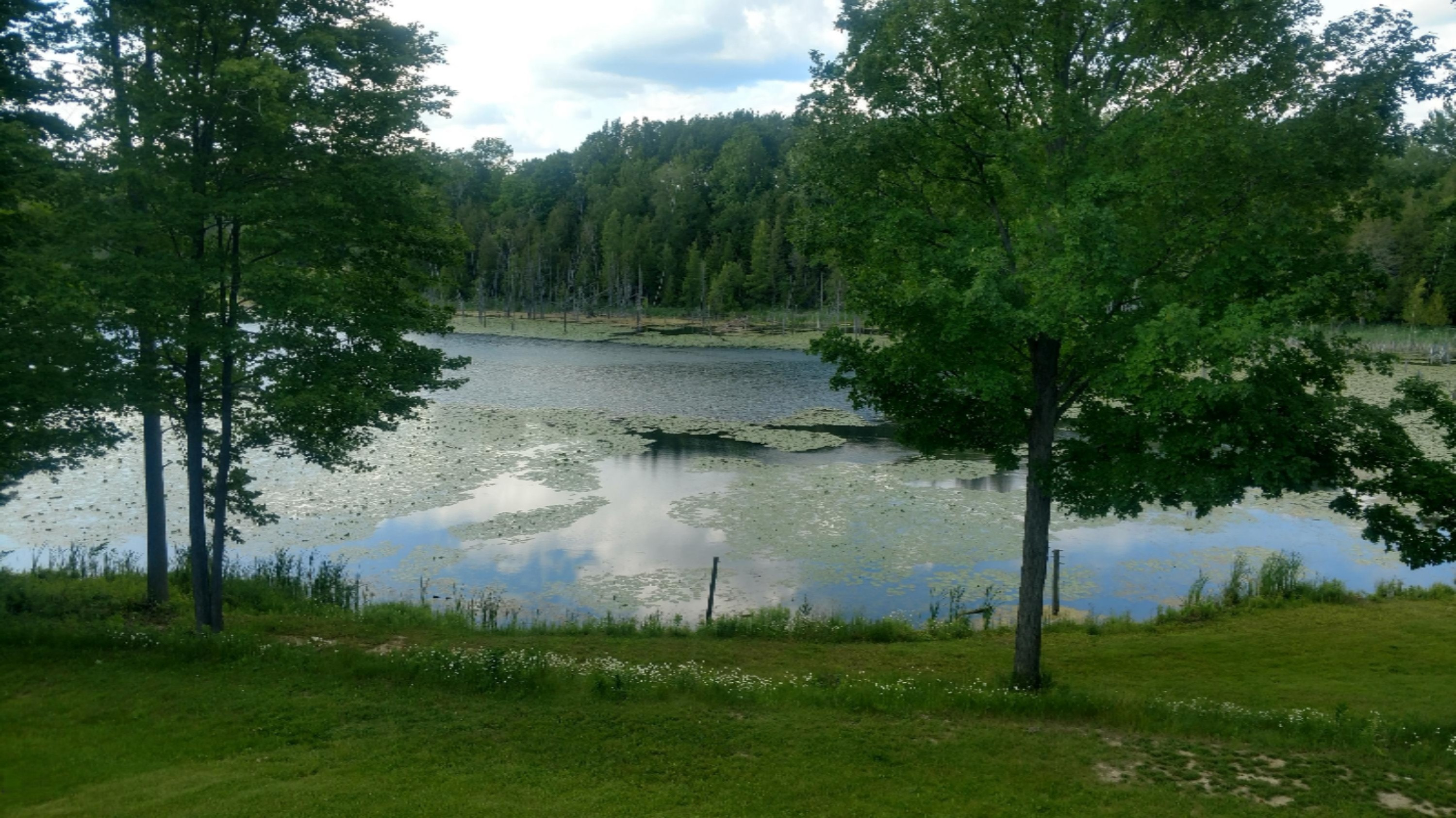 9506 West Coleman Road Lake, MI 48632 - Photo 4 of 18 IMG_20170627_172430588_HDR