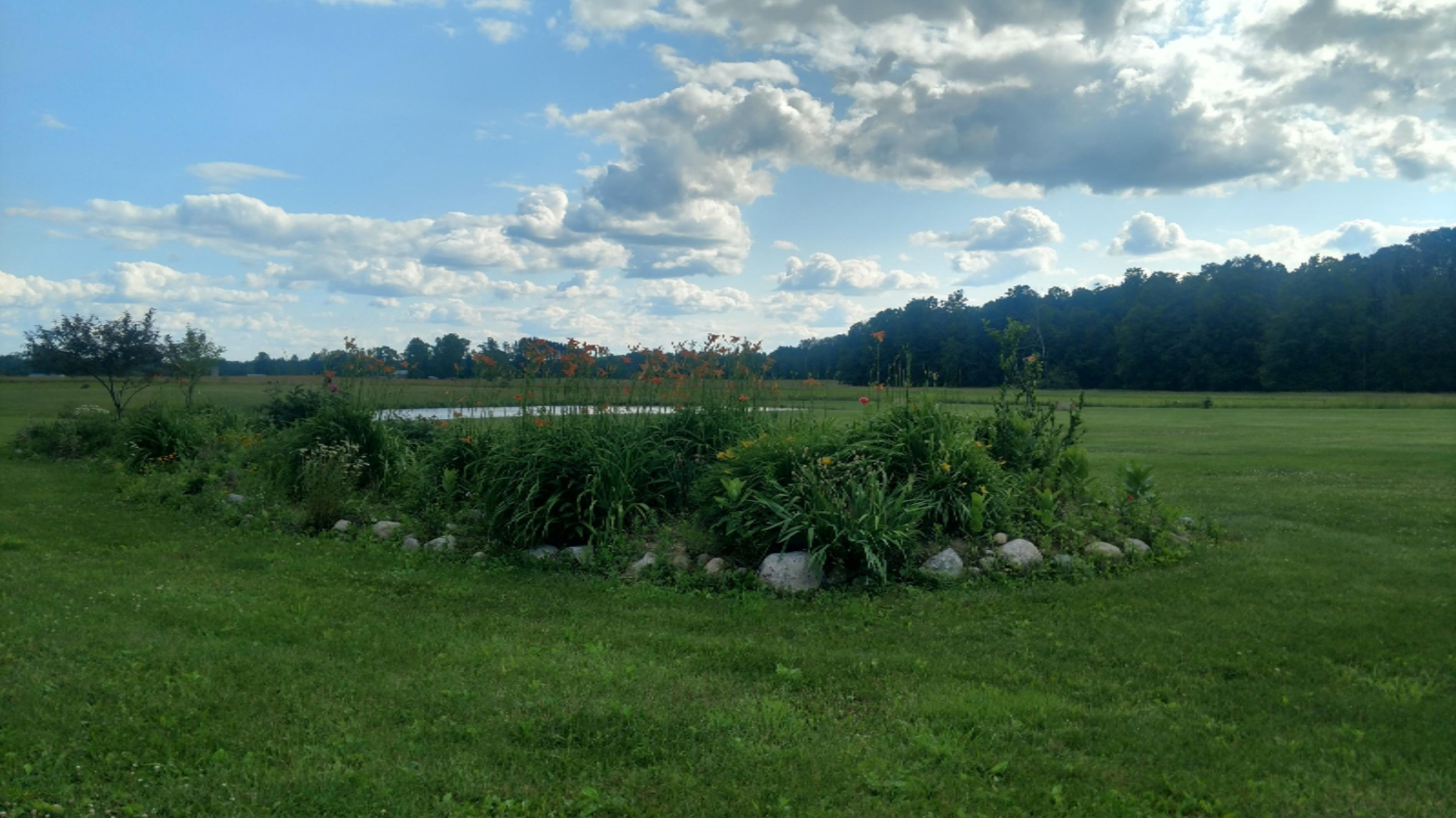 9506 West Coleman Road Lake, MI 48632 - Photo 6 of 18 IMG_20170627_174324209_HDR
