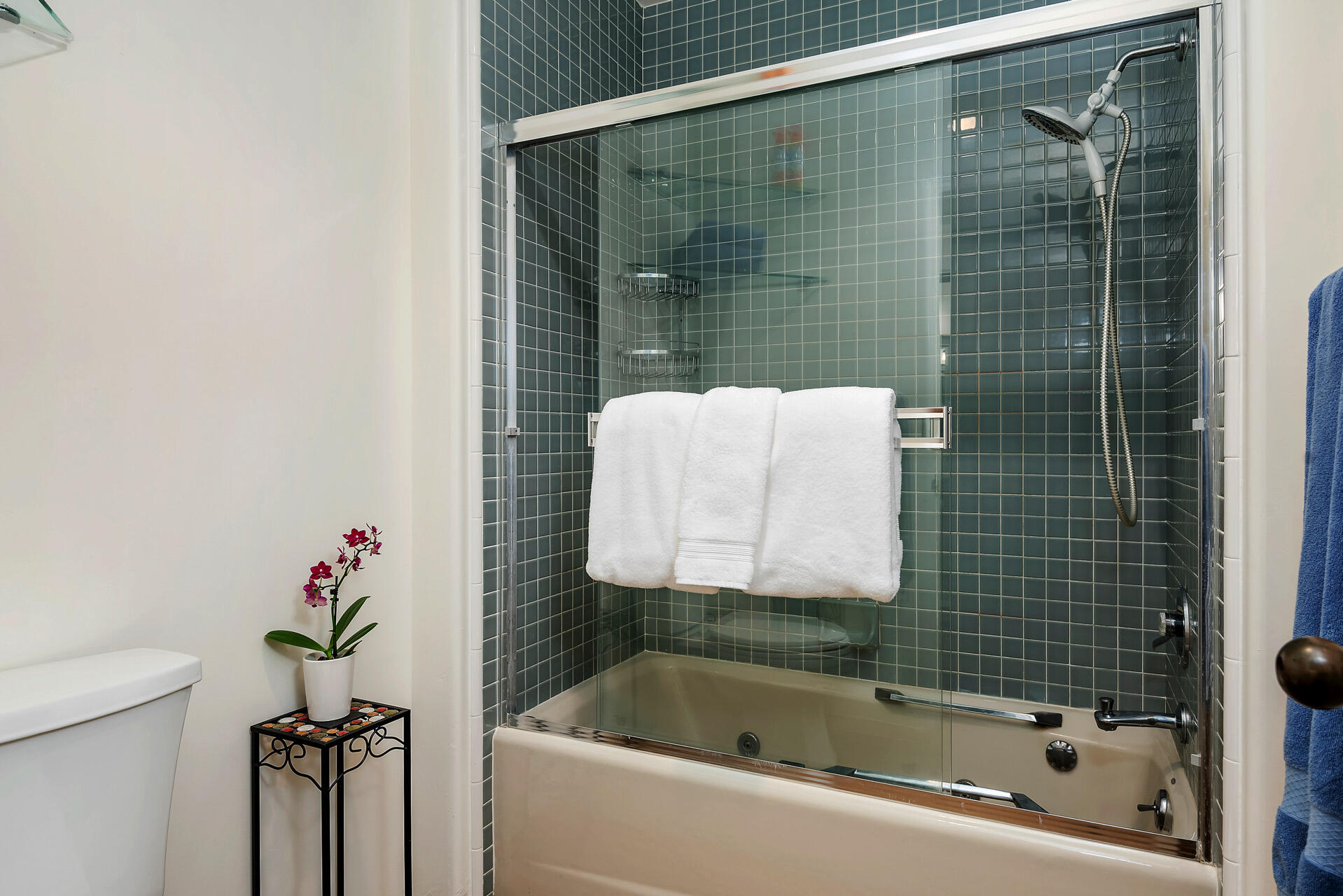 Undisclosed Address Santa Barbara, CA 93101 - Photo 20 of 25 a bathroom with a shower a bathtub and a shower