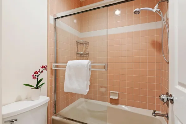 a bathroom with a shower and a toilet