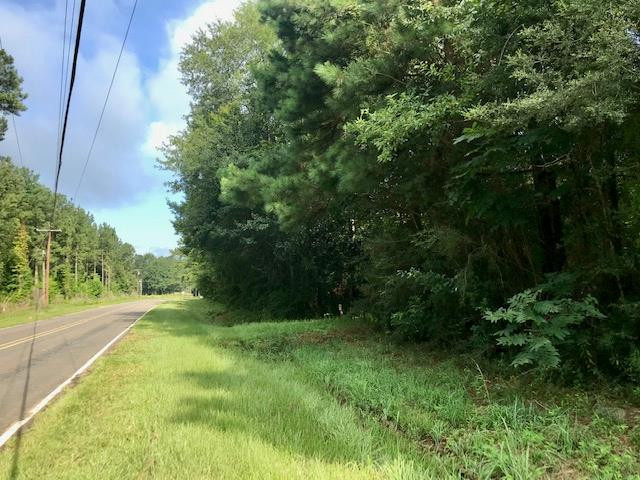 Xxx Fernwood Road Magnolia, MS 39652 - Photo 1 of 4 Main View