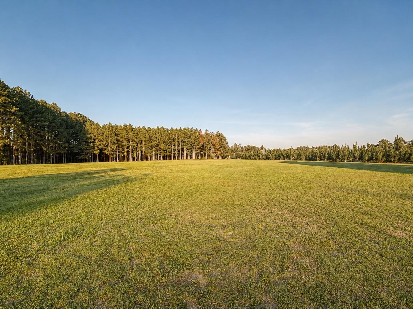 4275 State Rd S-21-359 Johnsonville, SC 29555 - Photo 2 of 58