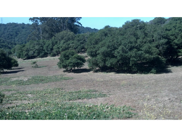 485 Strawberry Road, Unit A Watsonville, CA 95076 - Photo 4 of 8 Gallery Image 4