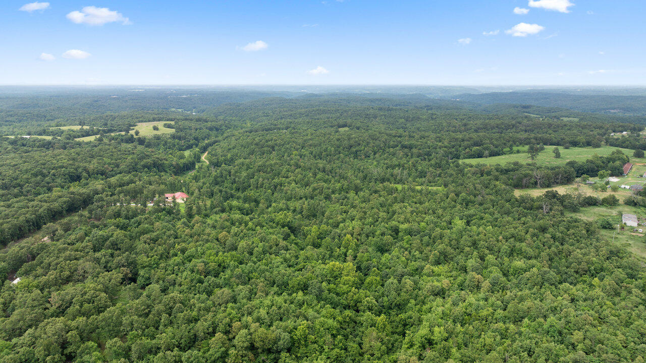 10 Styles Road Noel, MO 64854 - Photo 16 of 41 014_dji_20240717152854_0576_d_116