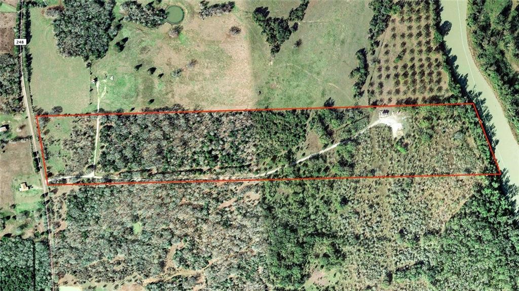 37.5-ac Antioch Road Midway, TX 75852 - Photo 11 of 24