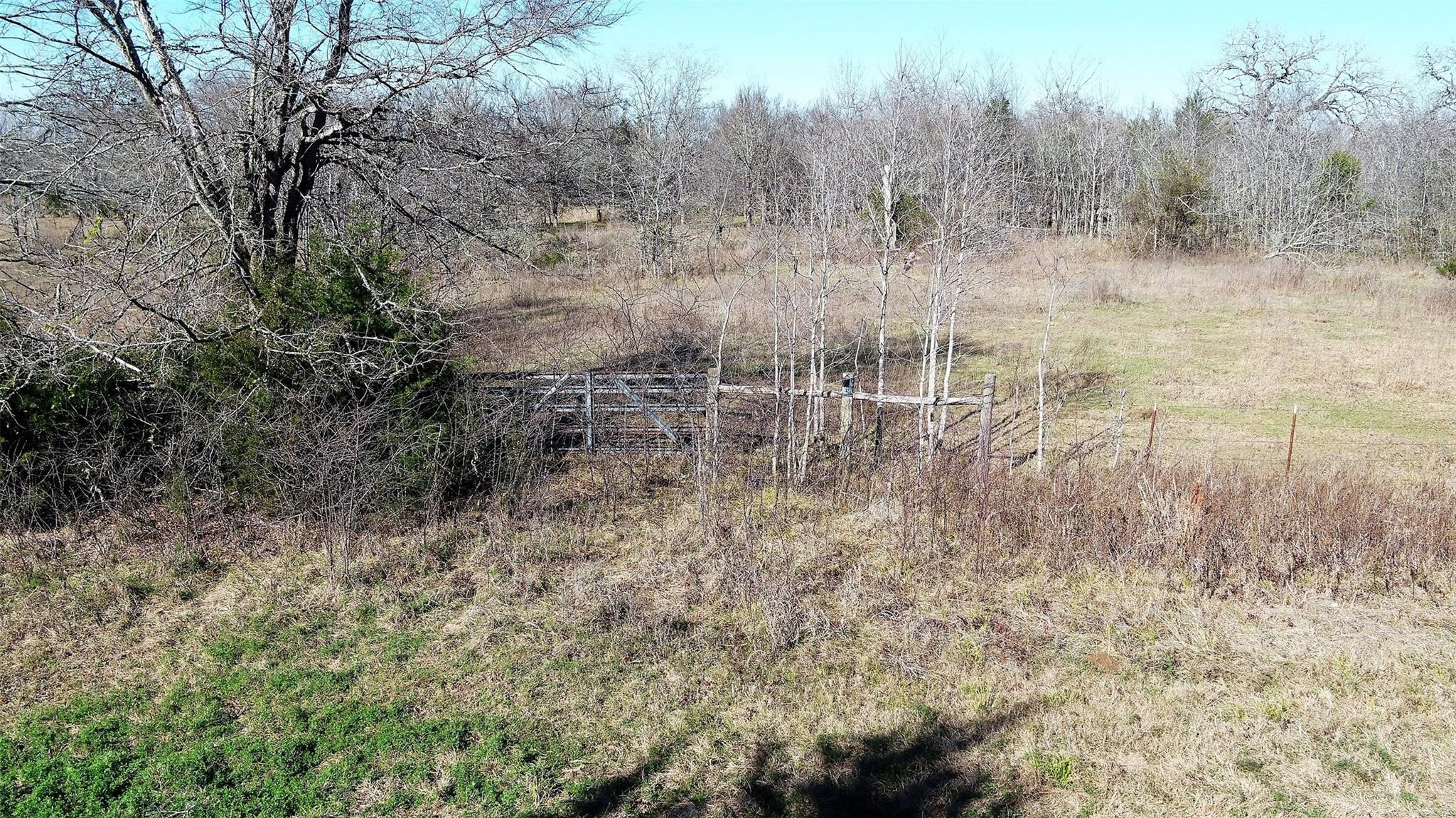 37.5-ac Antioch Road Midway, TX 75852 - Photo 12 of 24 a view of a dry yard with trees