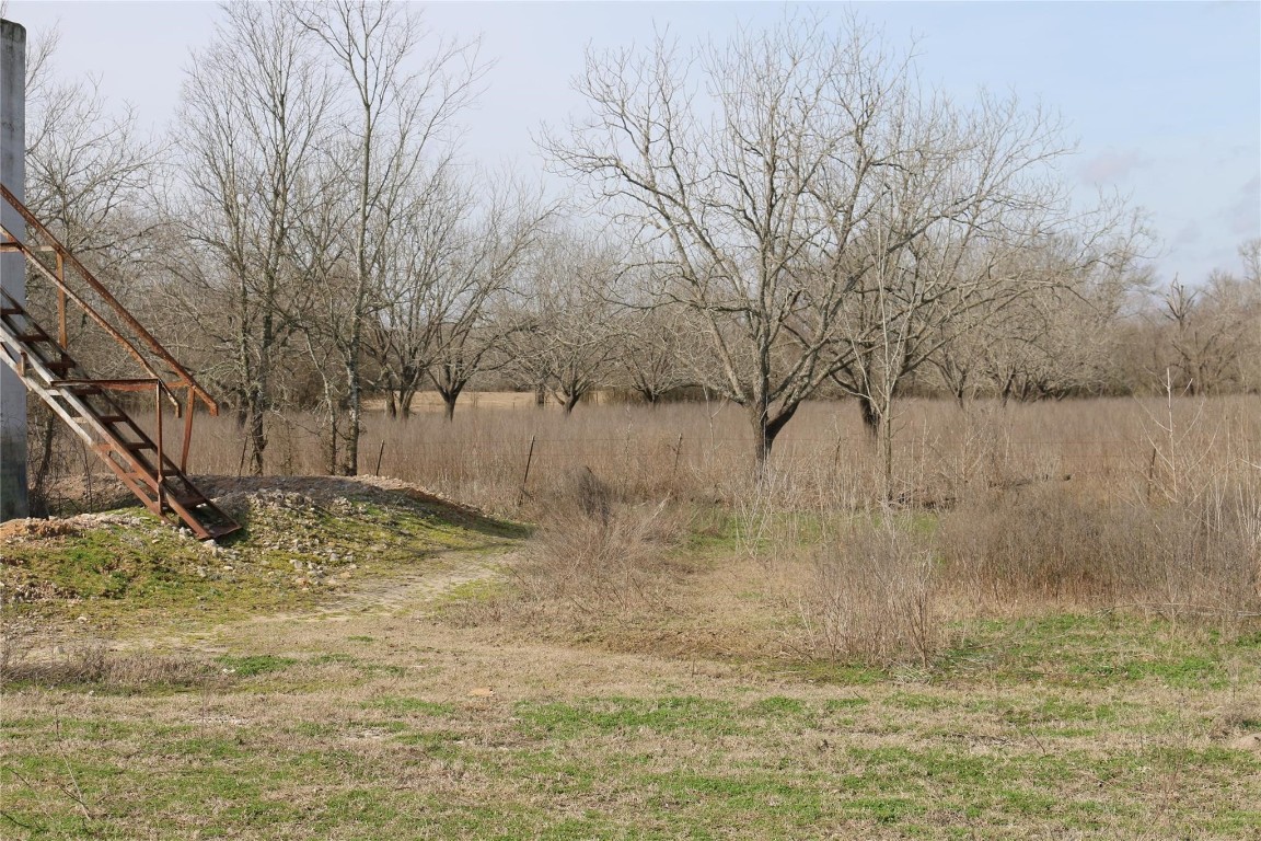 37.5-ac Antioch Road Midway, TX 75852 - Photo 22 of 24 a view of a yard