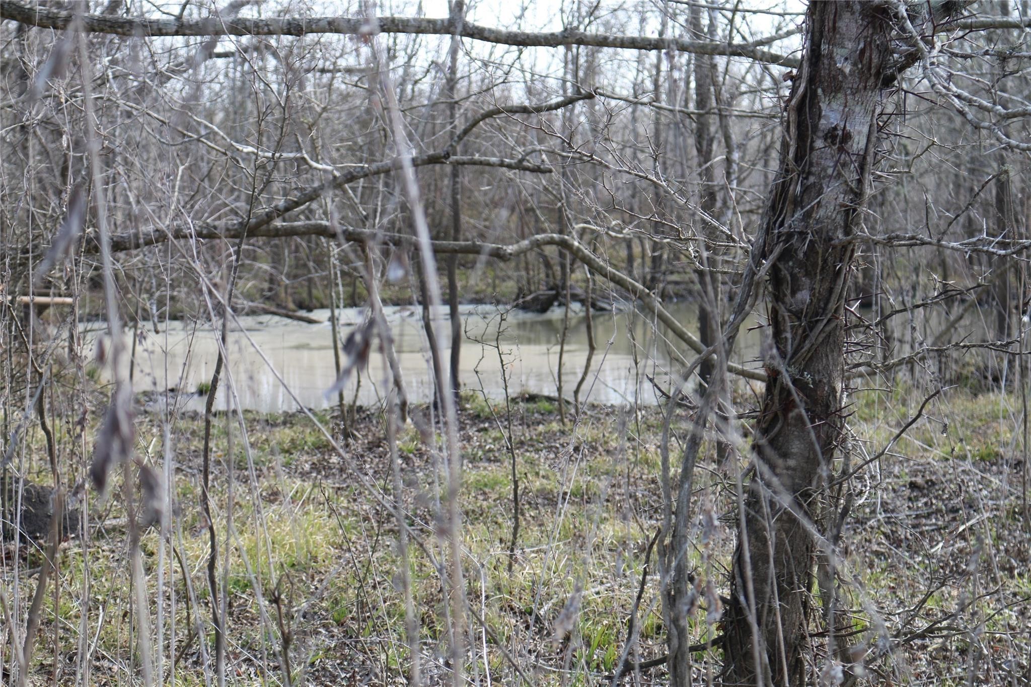 37.5-ac Antioch Road Midway, TX 75852 - Photo 23 of 24 a view of a yard