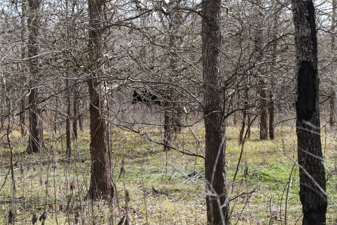 37.5-ac Antioch Road Midway, TX 75852 - Photo 24 of 24