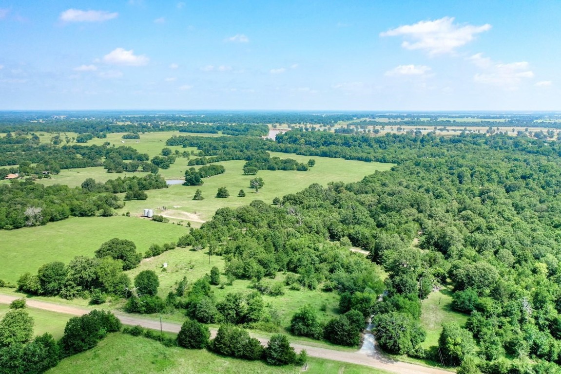 37.5-ac Antioch Road Midway, TX 75852 - Photo 4 of 24 a view of a green field with lots of green space