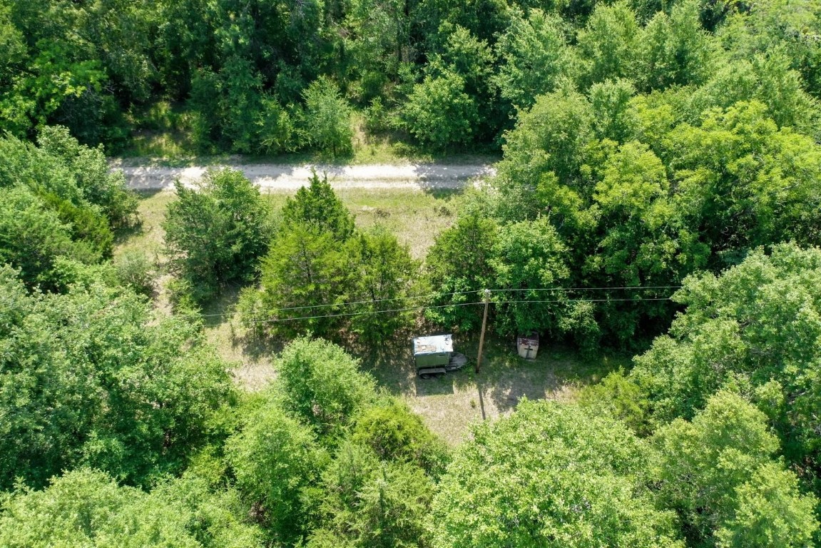 37.5-ac Antioch Road Midway, TX 75852 - Photo 6 of 24 a view of a garden with a lake view