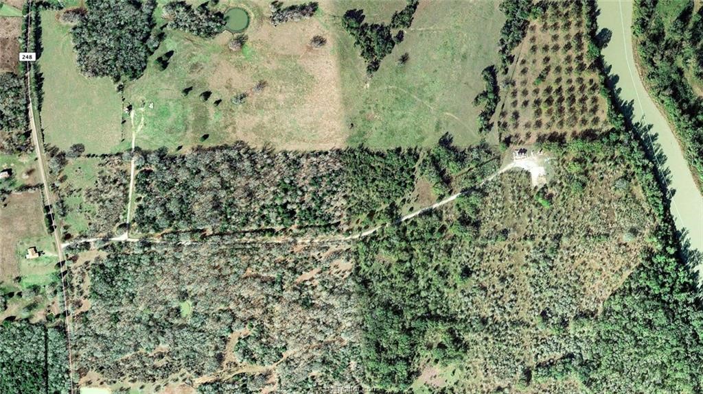 37.5-ac Antioch Road Midway, TX 75852 - Photo 10 of 24 a view of a garden with a tree