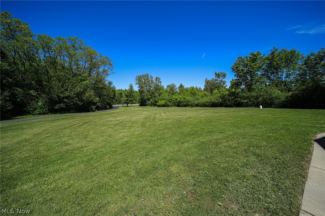 8150 Plank Road Thompson, OH 44086 - Photo 25 of 31