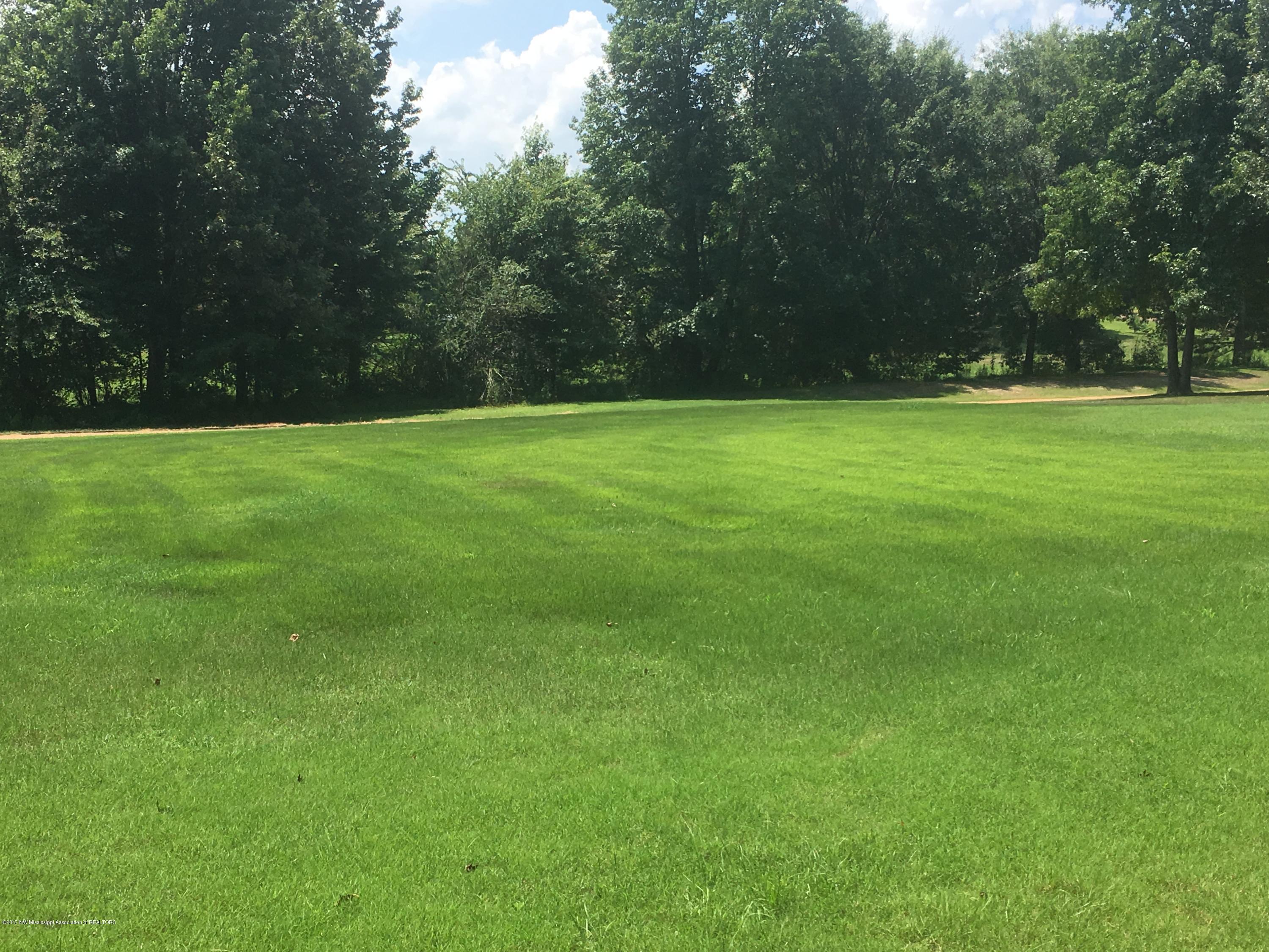 340 Oakley Road Senatobia, MS 38668 - Photo 50 of 53 340 Oakley 4
