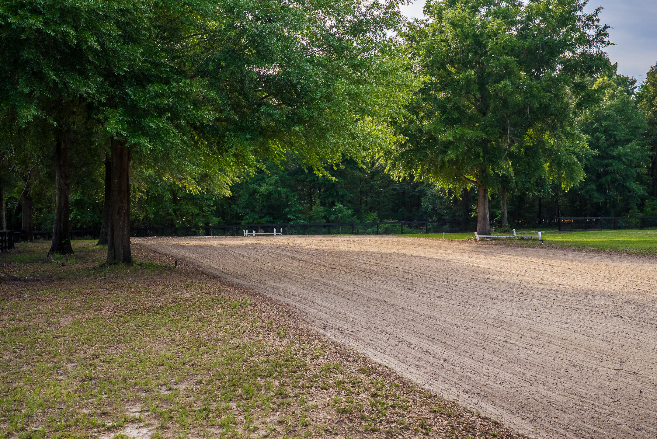 500 Burkelo Road Wagener, SC 29164 - Photo 51 of 80