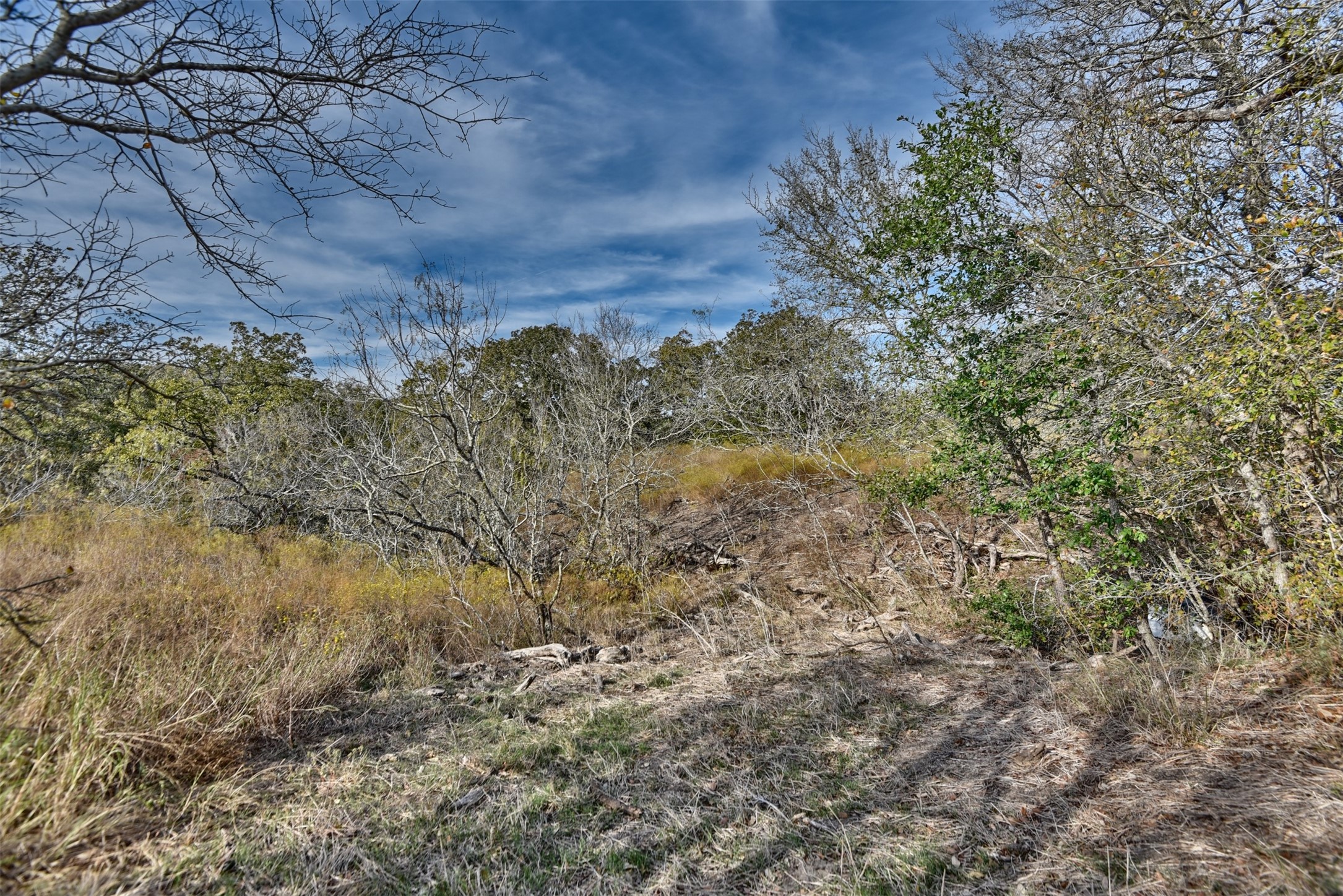 489 Farm To Market Road 60 Somerville, TX 77879 - Photo 12 of 17