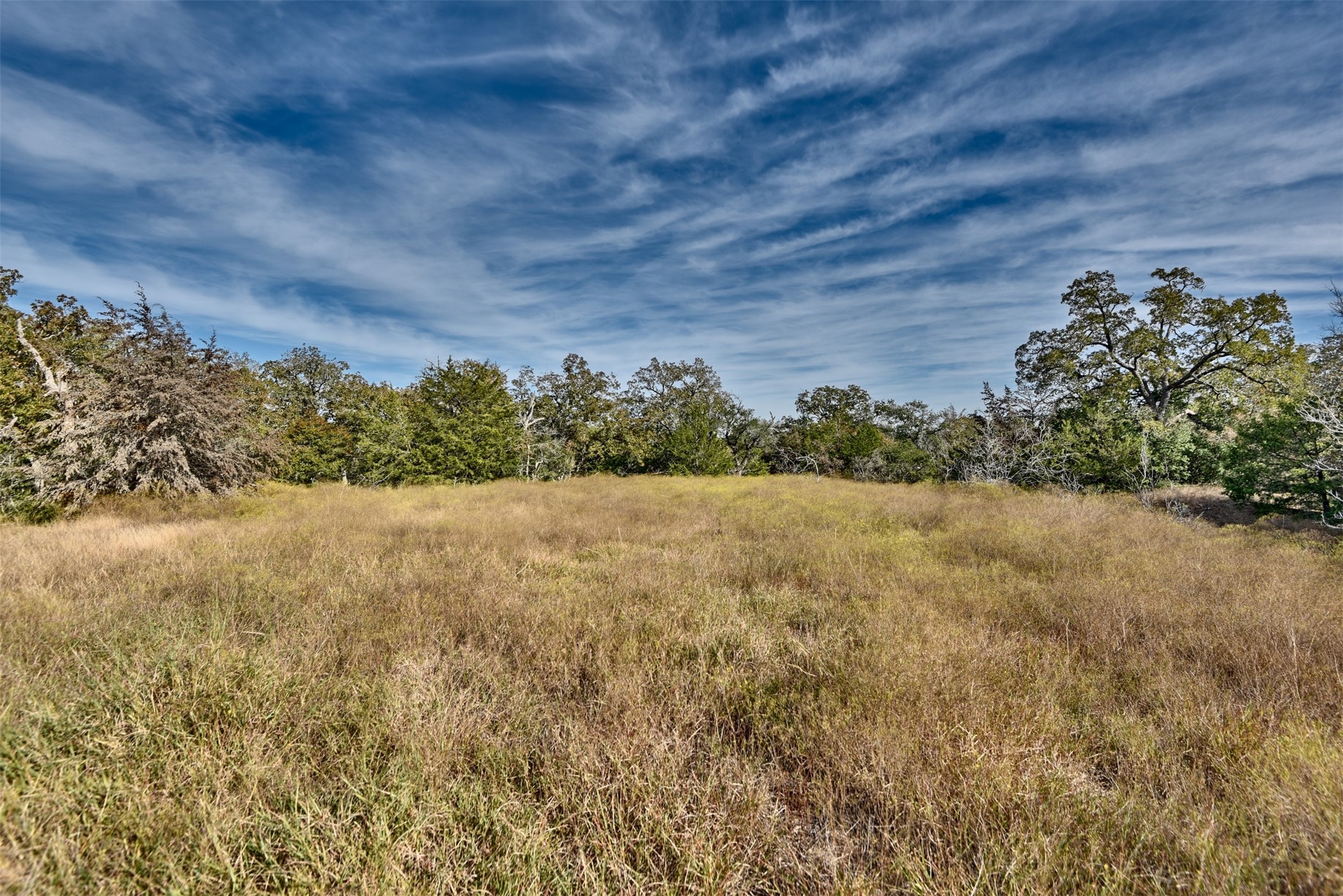 489 Farm To Market Road 60 Somerville, TX 77879 - Photo 4 of 17