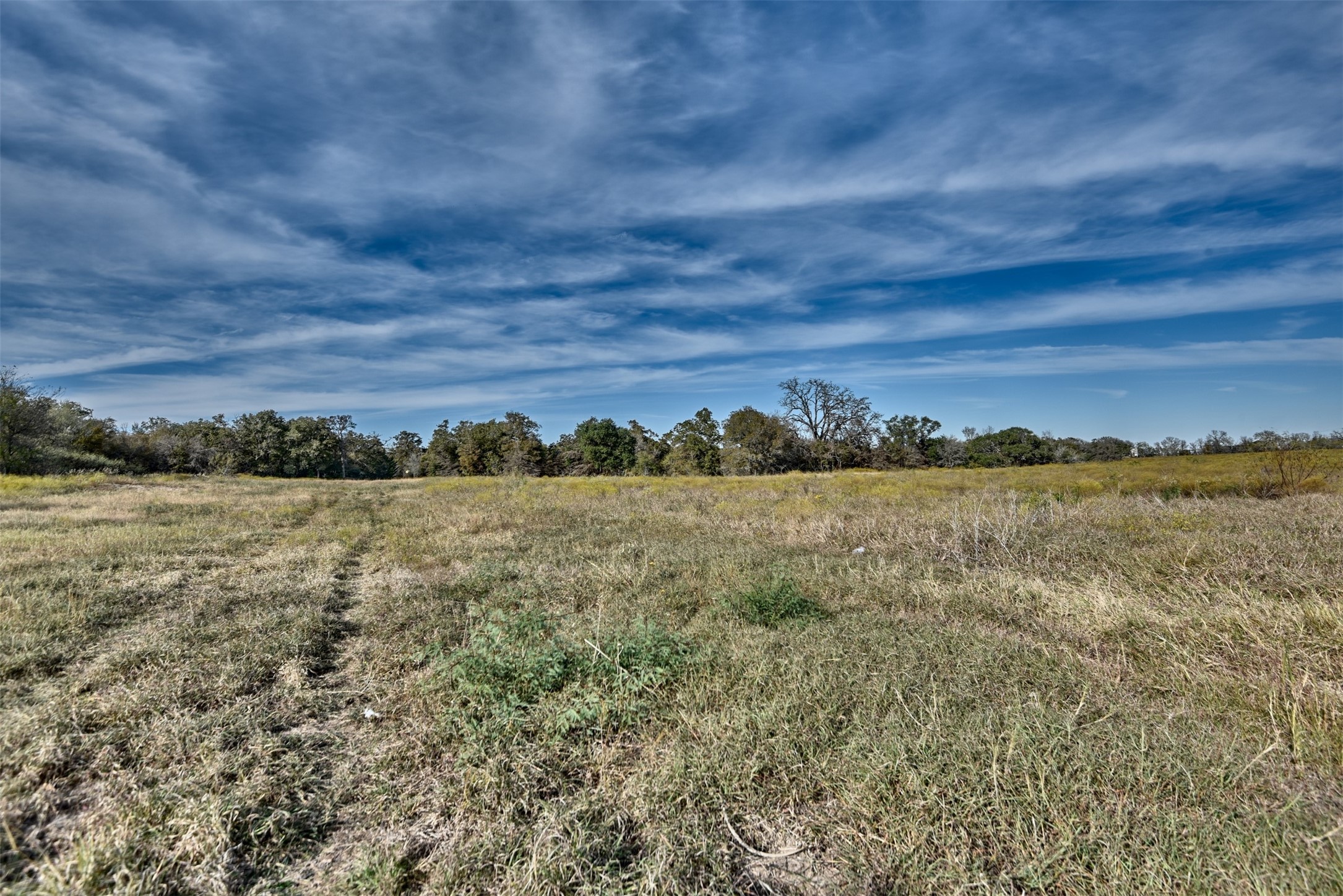 489 Farm To Market Road 60 Somerville, TX 77879 - Photo 5 of 17