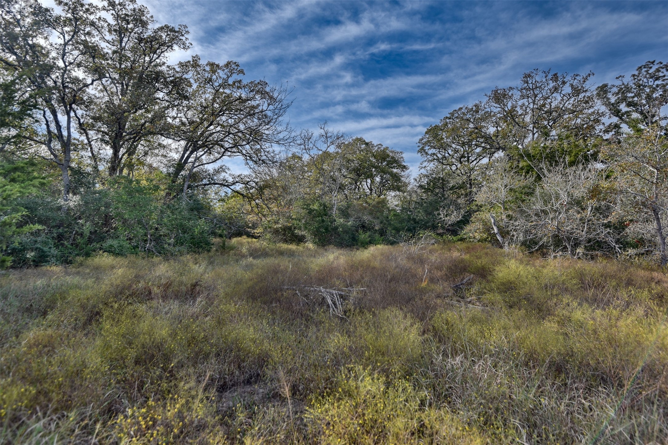 489 Farm To Market Road 60 Somerville, TX 77879 - Photo 6 of 17