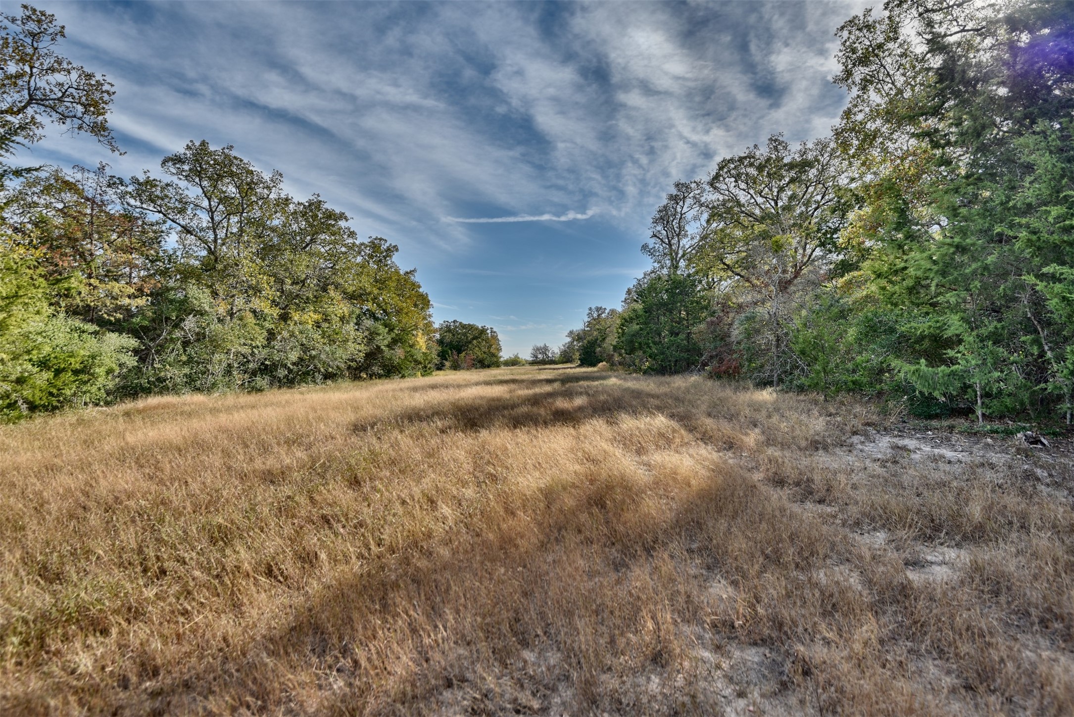 489 Farm To Market Road 60 Somerville, TX 77879 - Photo 7 of 17