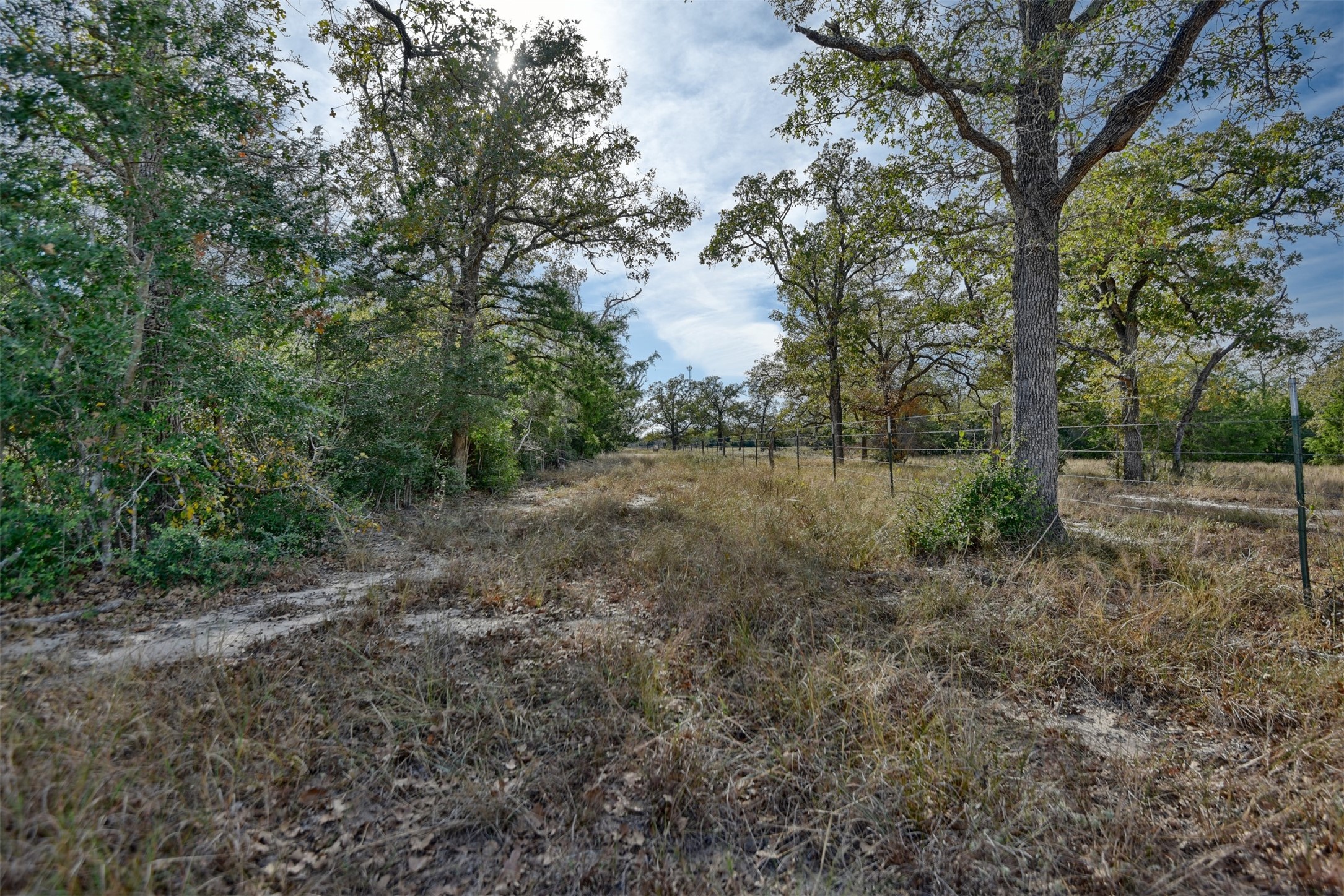 489 Farm To Market Road 60 Somerville, TX 77879 - Photo 8 of 17