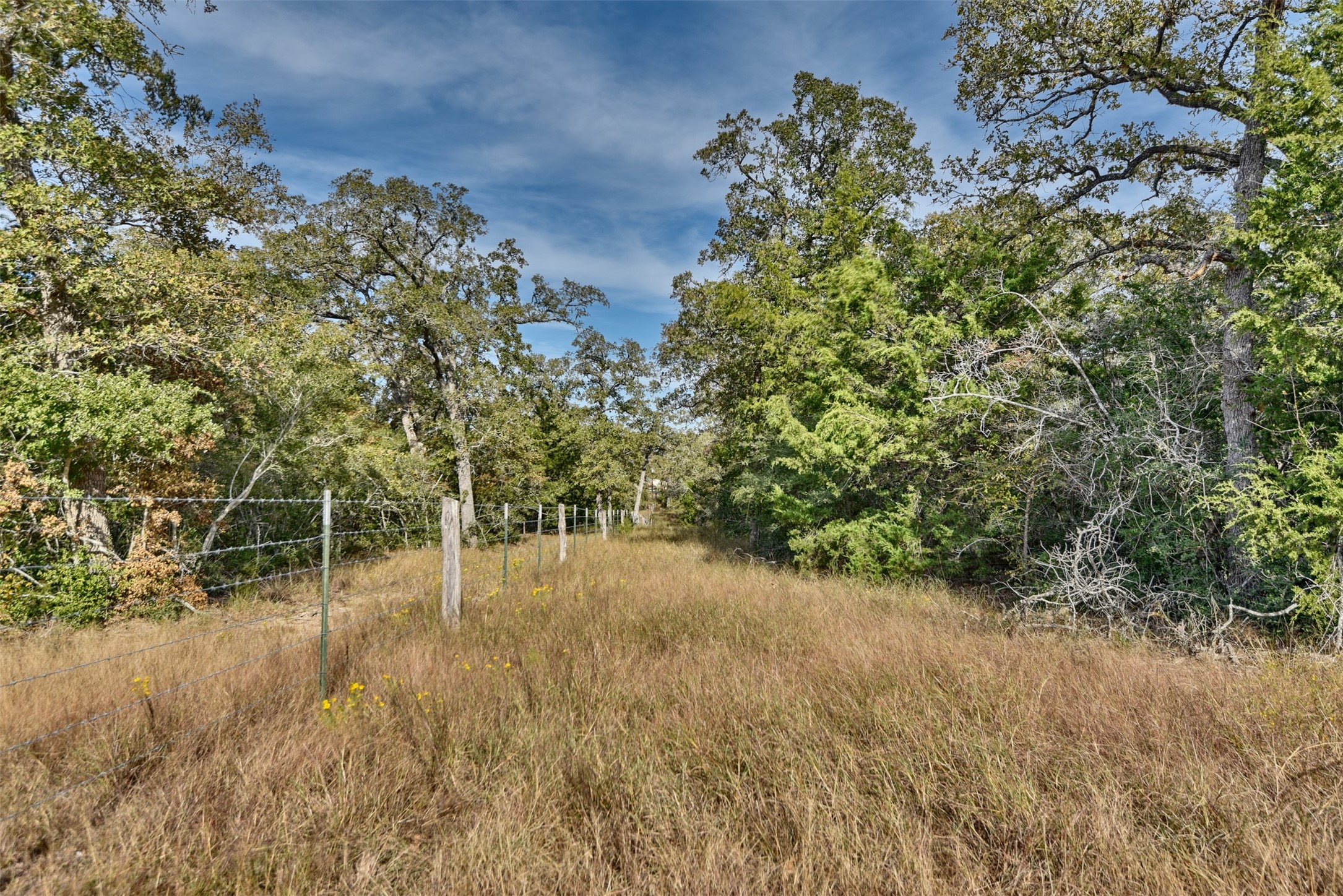 489 Farm To Market Road 60 Somerville, TX 77879 - Photo 9 of 17