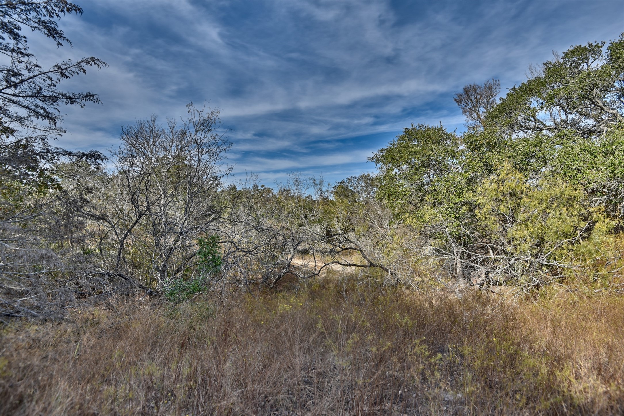 489 Farm To Market Road 60 Somerville, TX 77879 - Photo 10 of 17