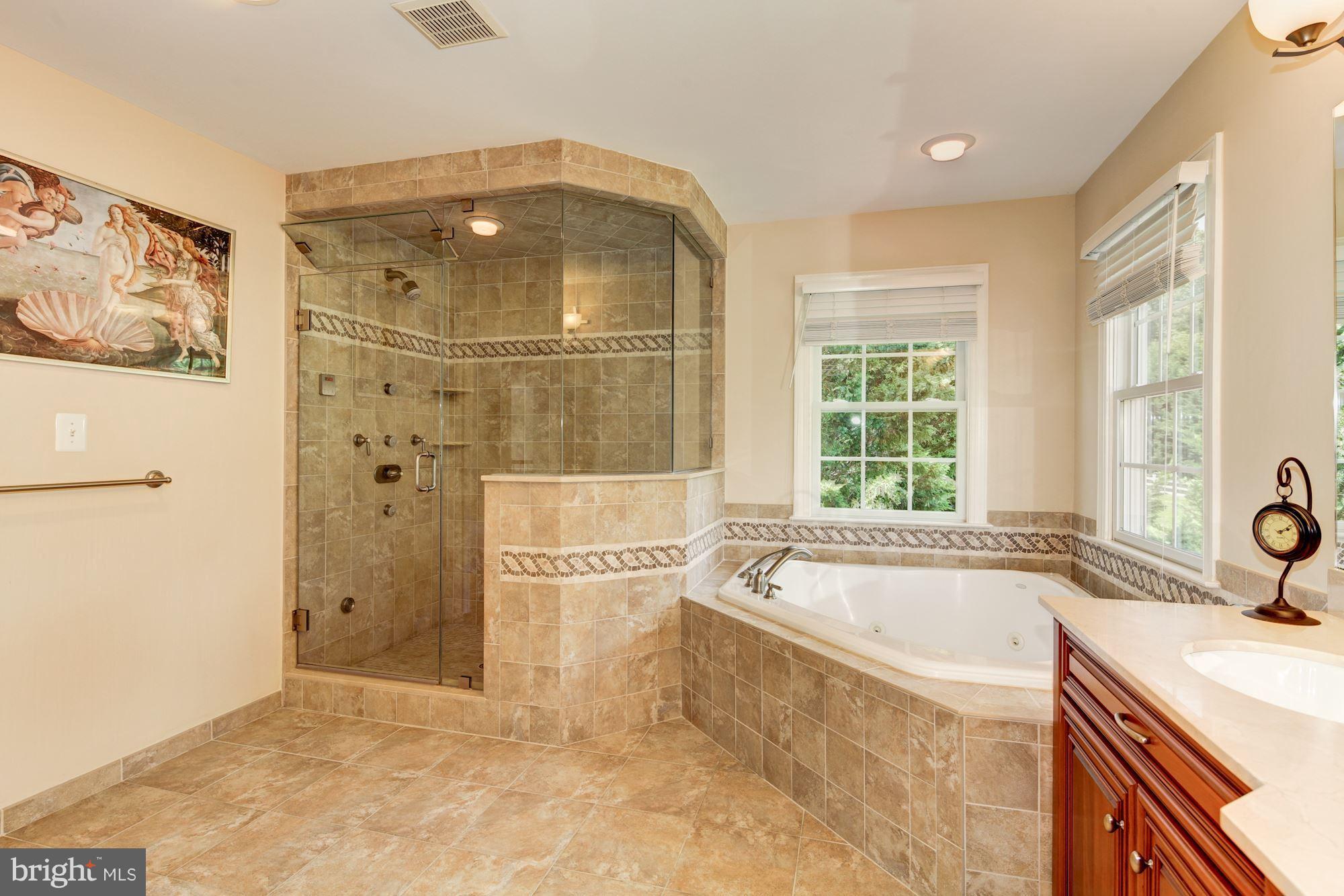 25103 Vista Ridge Road Laytonsville, MD 20882 - Photo 23 of 29 Bath (Master)