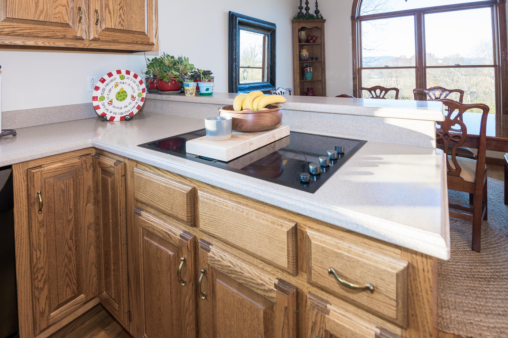 1122 Kell Loop Dunlap, TN 37327 - Photo 19 of 70 Kitchen Stove Top