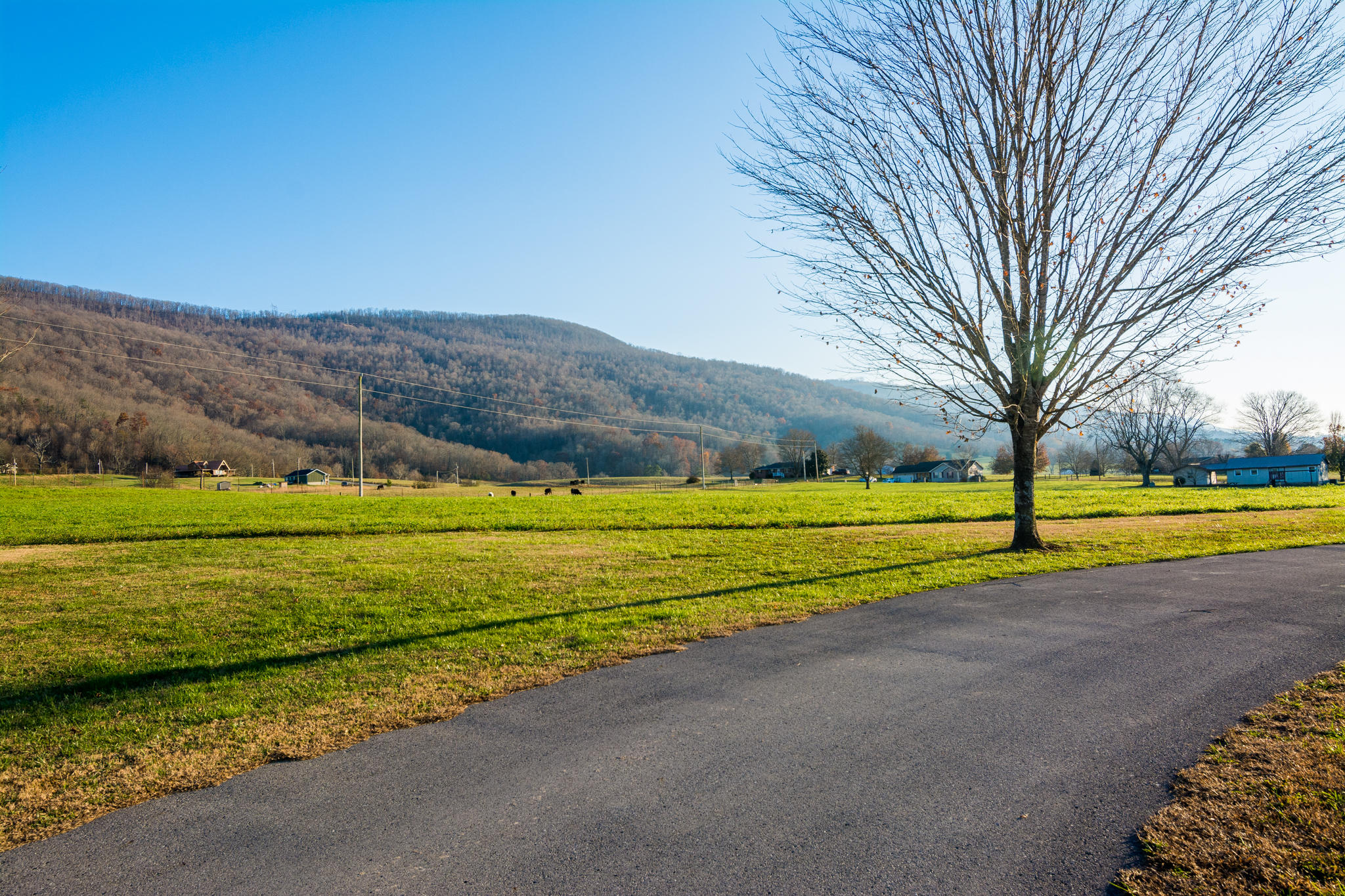 1122 Kell Loop Dunlap, TN 37327 - Photo 48 of 70 Driveway