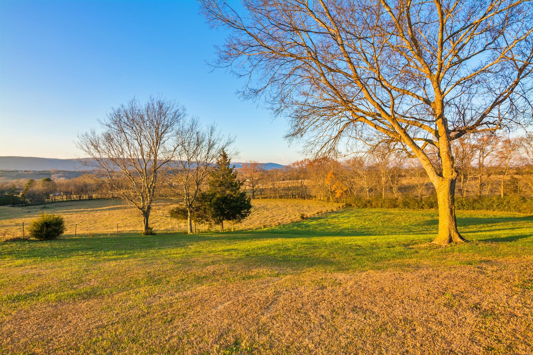 1122 Kell Loop Dunlap, TN 37327 - Photo 64 of 70 View 2